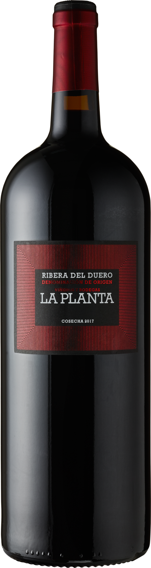 Bodegas Arzuaga Ribera del Duero D.O. La Planta 2023 Rotwein Kiste 6 x 150 cl / 14 % Spanien – Flasche
