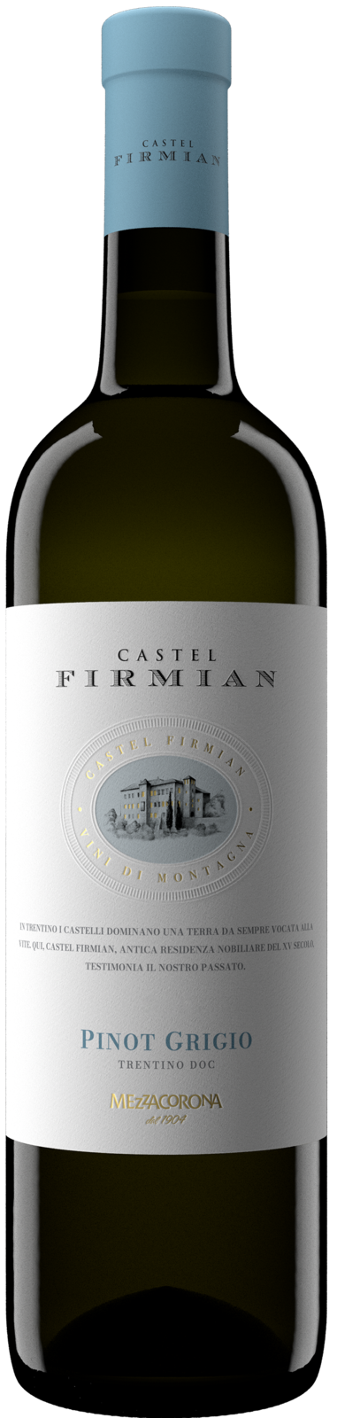 Castel Firmian Mezzacorona Pinot Grigio Trentino DOC 2025 Weisswein Kiste 6 x 75 cl / 12.5 % Italien – Produktansicht