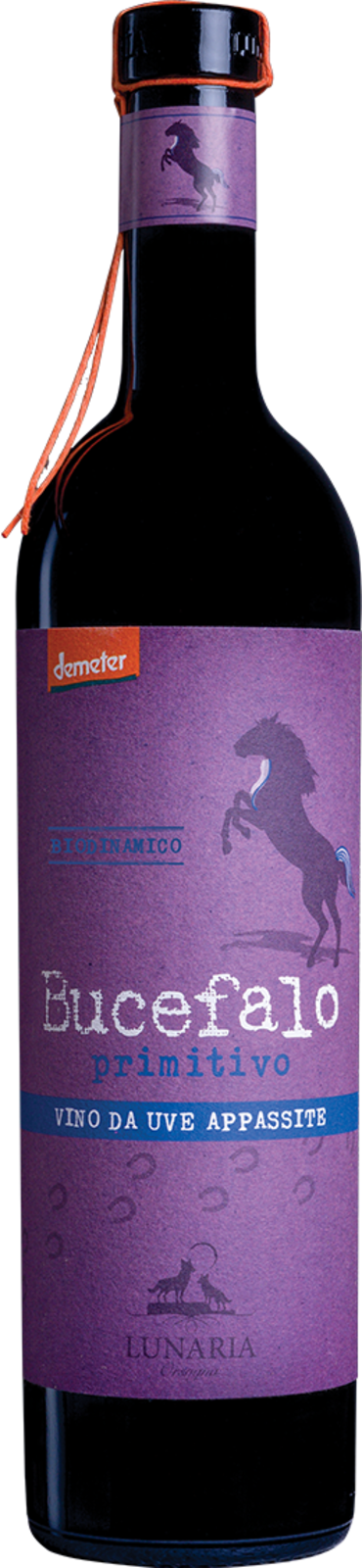 Cantina Orsogna Biologico Demeter Vegan Lunaria - Bucefalo Primitivo Vino da Uve Appassite 2024 Rotwein Kiste 6 x 75 cl / 14.5 % Italien – Produktansicht