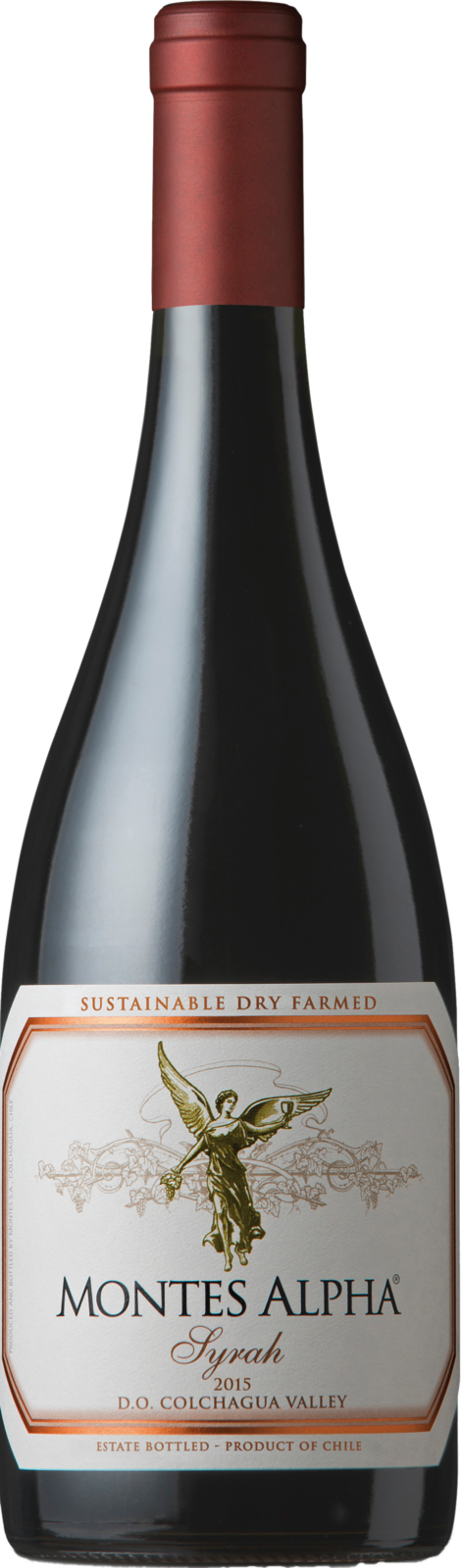 Montes Alpha Syrah DO 2021 Rotwein Kiste 6 x 75 cl / 14.5 % Chile – Produktansicht