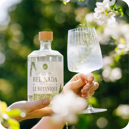 Bel Nada - GIN FIZZ BUNDLE - Refreshing & Zesty Cocktail Experience 🍸✨