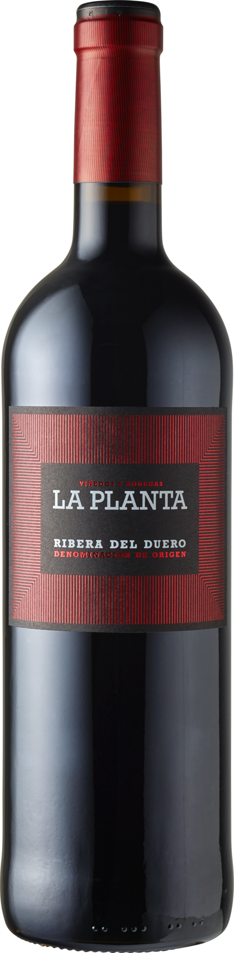Bodegas Arzuaga Ribera del Duero D.O. La Planta 2024 Rotwein Kiste 6 x 75 cl / 14 % Spanien – Flasche