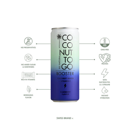 BLUEBERRY COCONUT WATER BOOSTER