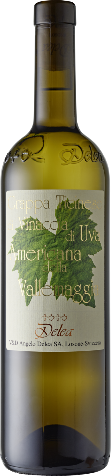 Angelo Delea Grappa Vallemaggia di uva Americana Kiste 6 x 75 cl / 43 % Schweiz – Produktansicht
