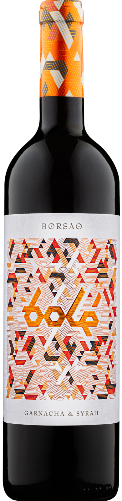Bodegas Borsao Campo de Borja D.O. Bolé 2021 Rotwein Kiste 6 x 75 cl / 14.5 % Spanien – Produktansicht