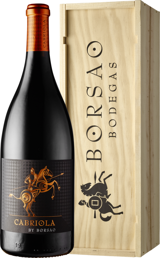 Bodegas Borsao Campo de Borja D.O. Cabriola by Borsao 2020 Rotwein 150 cl / 14.5 % Spanien – Produktansicht