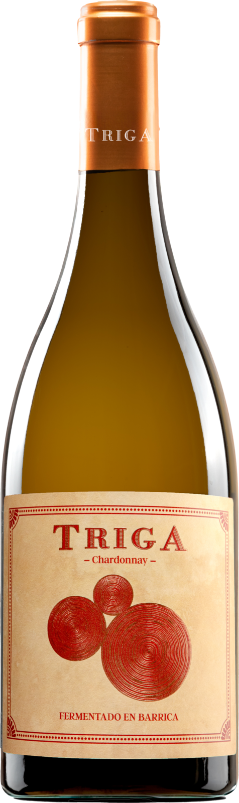 Bodegas Volver Triga Blanco Alicante DO – Vegan 2024 Weisswein Kiste 6 x 75 cl / 13.5 % Spanien – Produktansicht