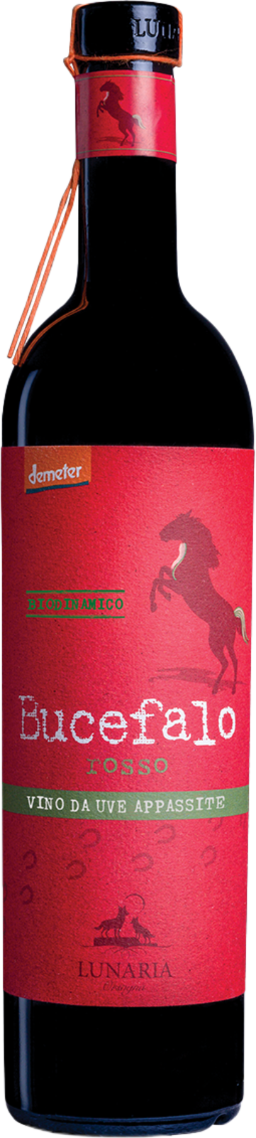 Cantina Orsogna Biologico Demeter Vegan Lunaria - Bucefalo Rosso Vino da Uve Appassite 2023 Rotwein Kiste 6 x 75 cl / 14.5 % Italien – Produktansicht