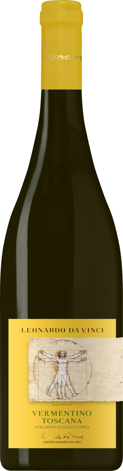 Leonardo da Vinci Vitruvian Vermentino IGT 2024 Weisswein Kiste 6 x 75 cl / 12.5 % Italien – Produktansicht