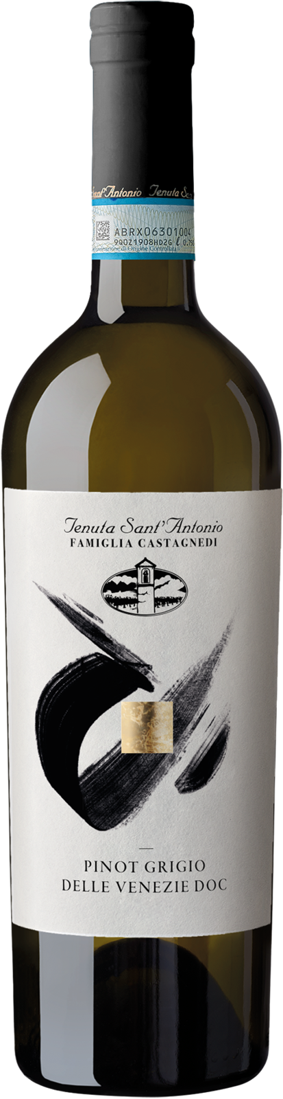 Tenuta Sant’Antonio Pinot Grigio delle Venezie DOC 2025 Weisswein Kiste 6 x 75 cl / 12 % Italien – Produktansicht