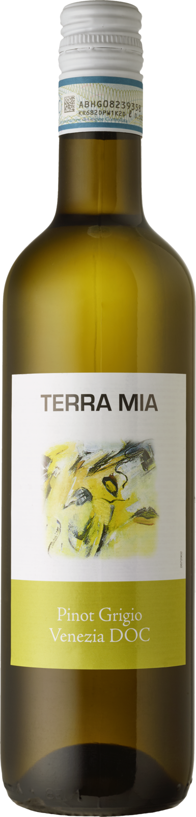 Terra Mia Pinot Grigio Venezia DOC 2025 Weisswein Kiste 12 x 50 cl / 12 % Italien – Produktansicht