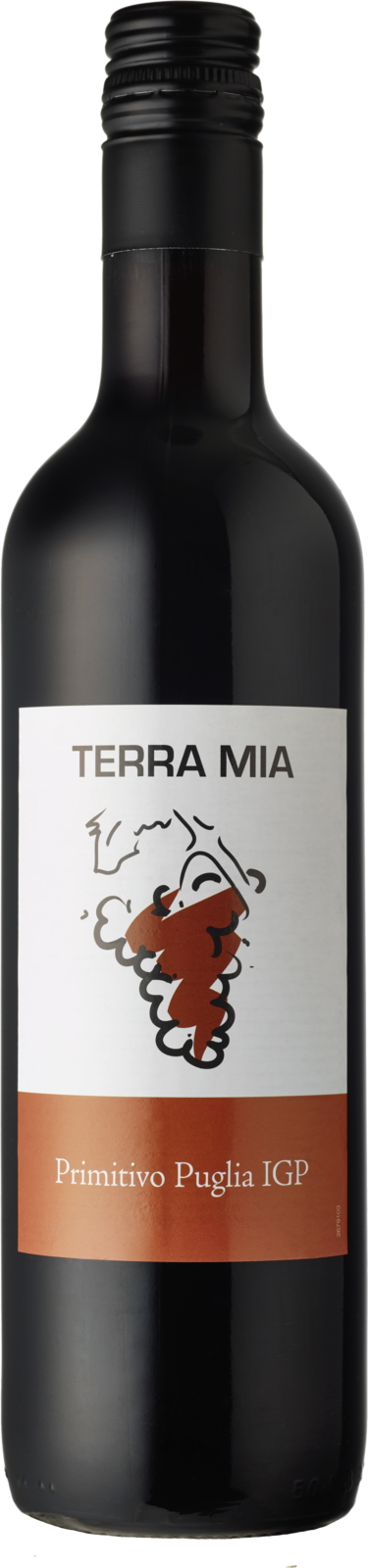 Terra Mia Primitivo Puglia IGP Rotwein Kiste 12 x 50 cl / 14 % Italien – Produktansicht