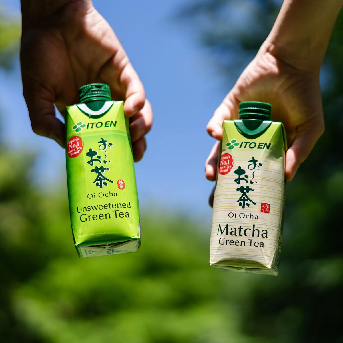 ITO EN Oi Ocha Matcha Grüntee ungesüsst Kiste 24 x 330 ml Japan – Stimmungsbild